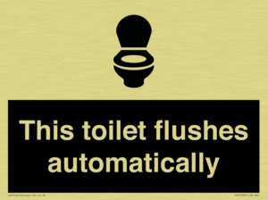 This toilet flushes automatically